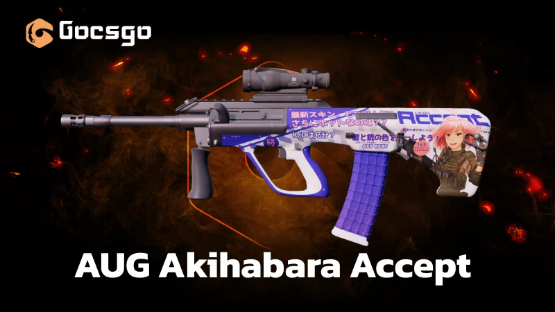 aug akihabara accept