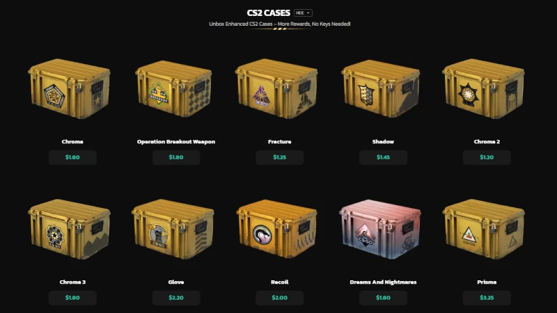 cs2 case