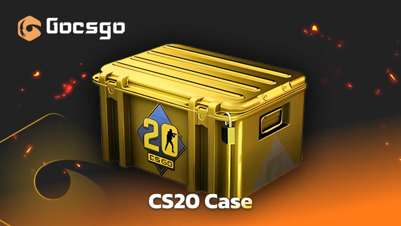 cs20 case