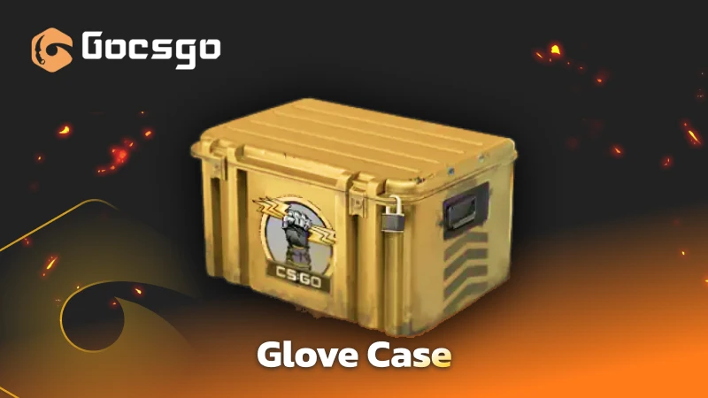 glove case