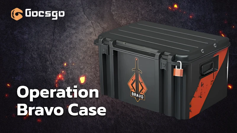 operation bravo case