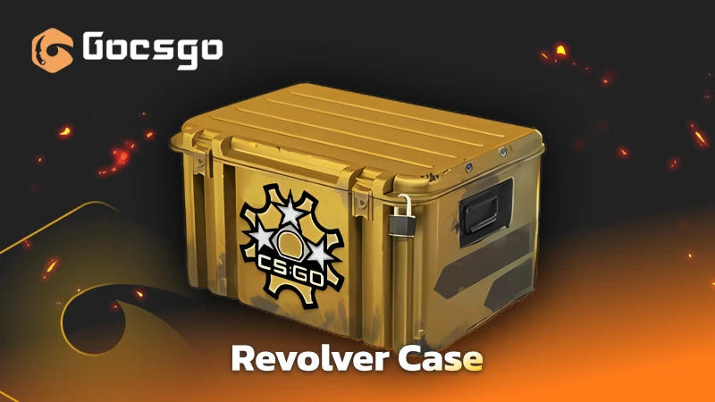 revolver case