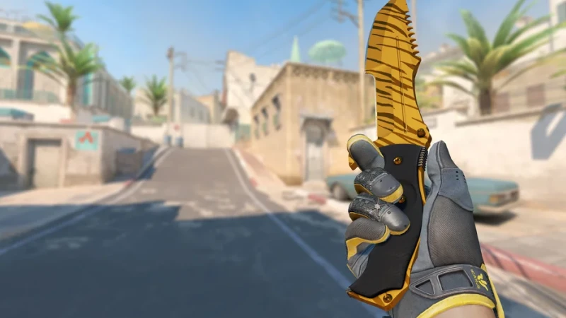 tiger tooth huntsman